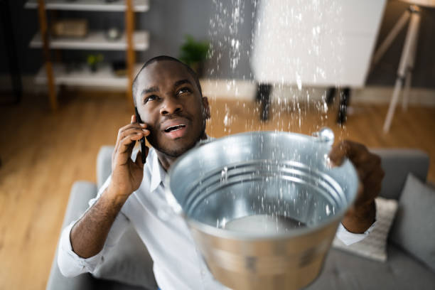 Best Water damage cleanup near me  in Lorton, VA
