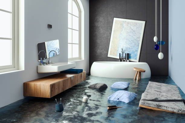 Best Flood damage cleanup  in Lorton, VA