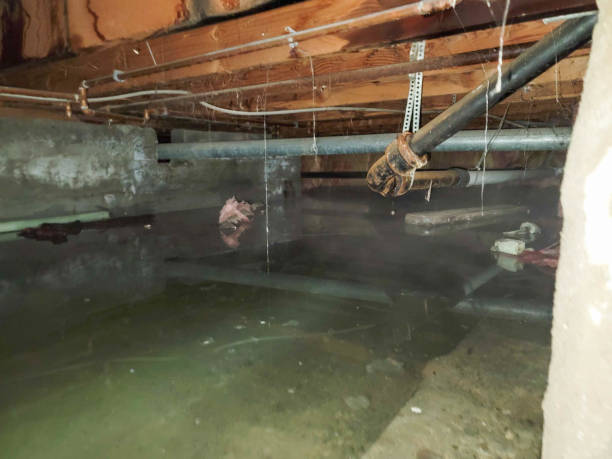  Lorton, VA Water damage restoration Pros