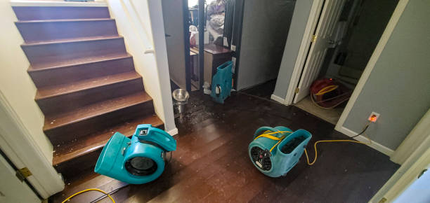 Best Carpet water damage restoration  in Lorton, VA