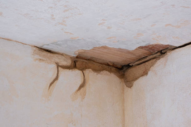 Best Flooded house restoration  in Lorton, VA