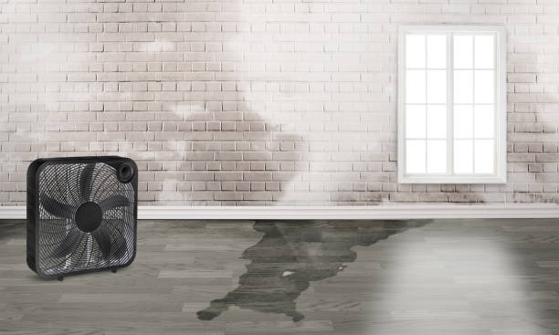 Best Water damage restoration near me  in Lorton, VA