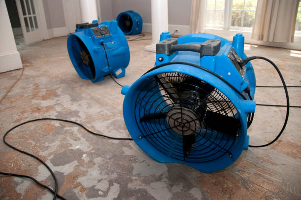 Best Professional water damage repair  in Lorton, VA