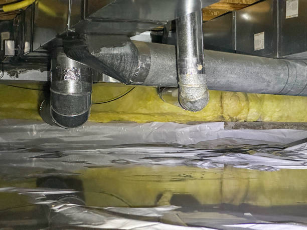 Best Water damage cleanup near me  in Lorton, VA