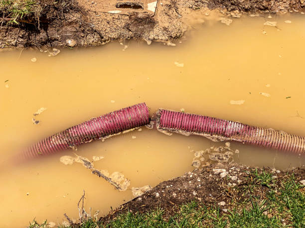 Best Sewage cleanup and water damage restoration  in Lorton, VA