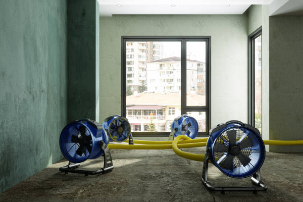 Best Basement water damage restoration  in Lorton, VA