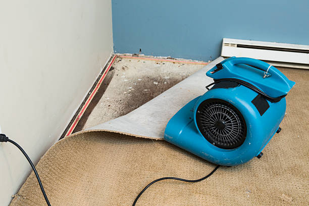 Best Fire Damage Restoration  in Lorton, VA
